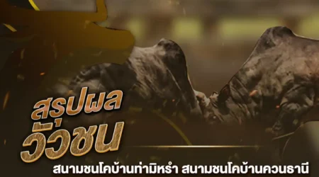 ผลวัวชน 22 สิงหาคม 2567