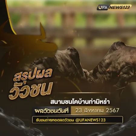 ผลวัวชน 23 สิงหาคม 2567