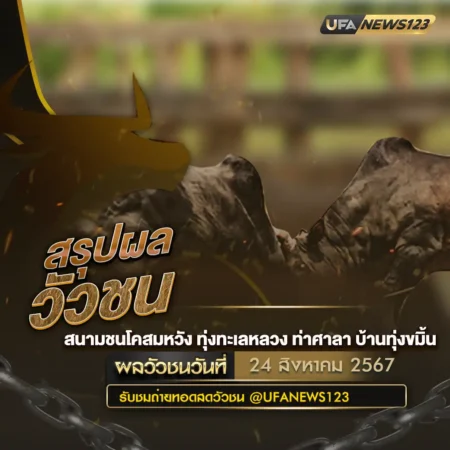 ผลวัวชน 24 สิงหาคม 2567