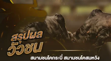 ผลวัวชน 26 สิงหาคม 2567