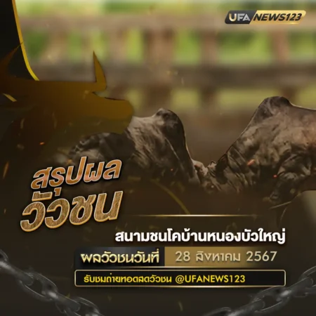 ผลวัวชน 28 สิงหาคม 2567