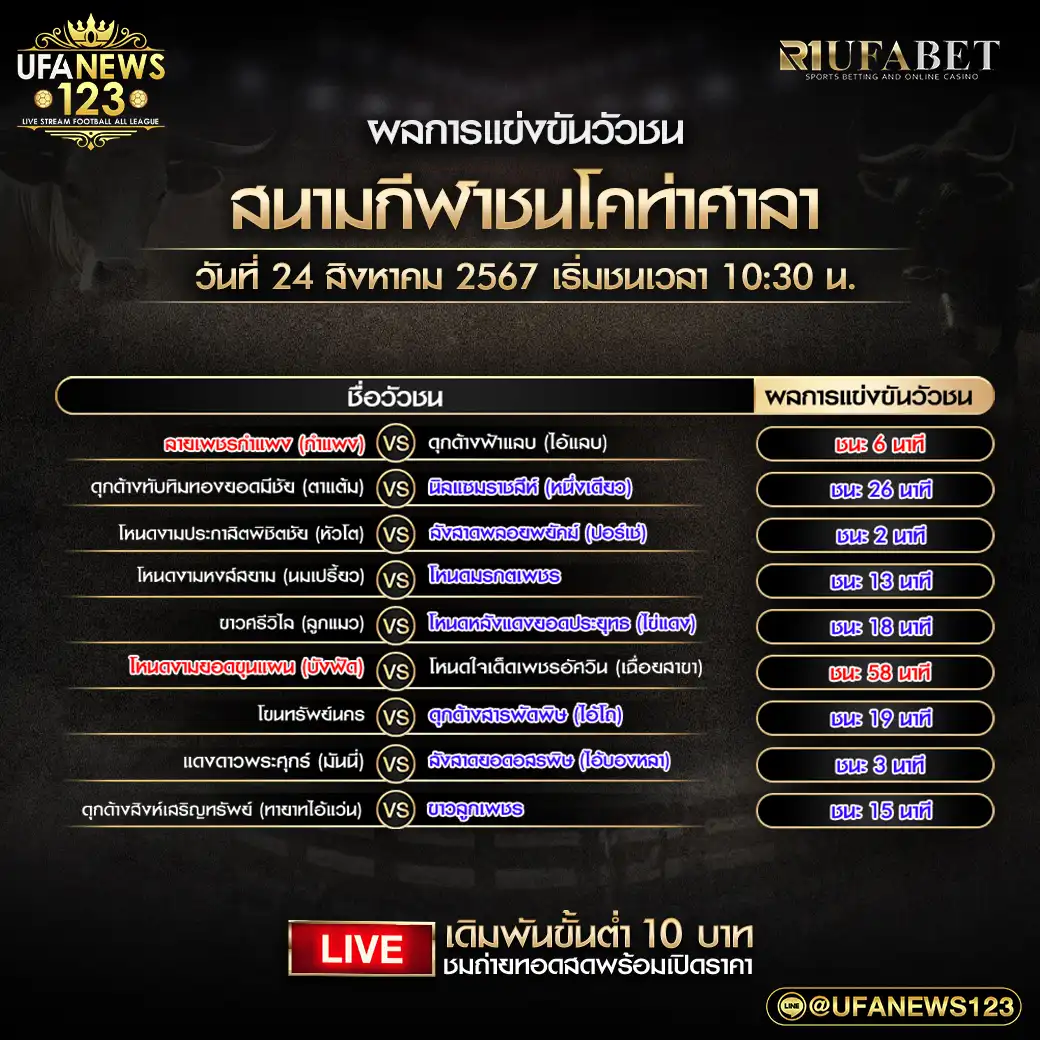 ผลวัวชน สนามชนโคท่าศาลา 24 สิงหาคม 2567