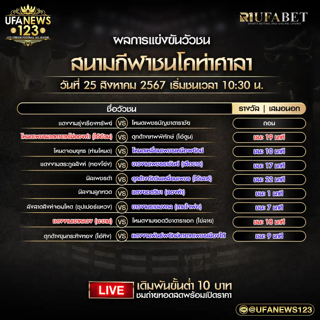 ผลวัวชน สนามชนโคท่าศาลา 25 สิงหาคม 2567