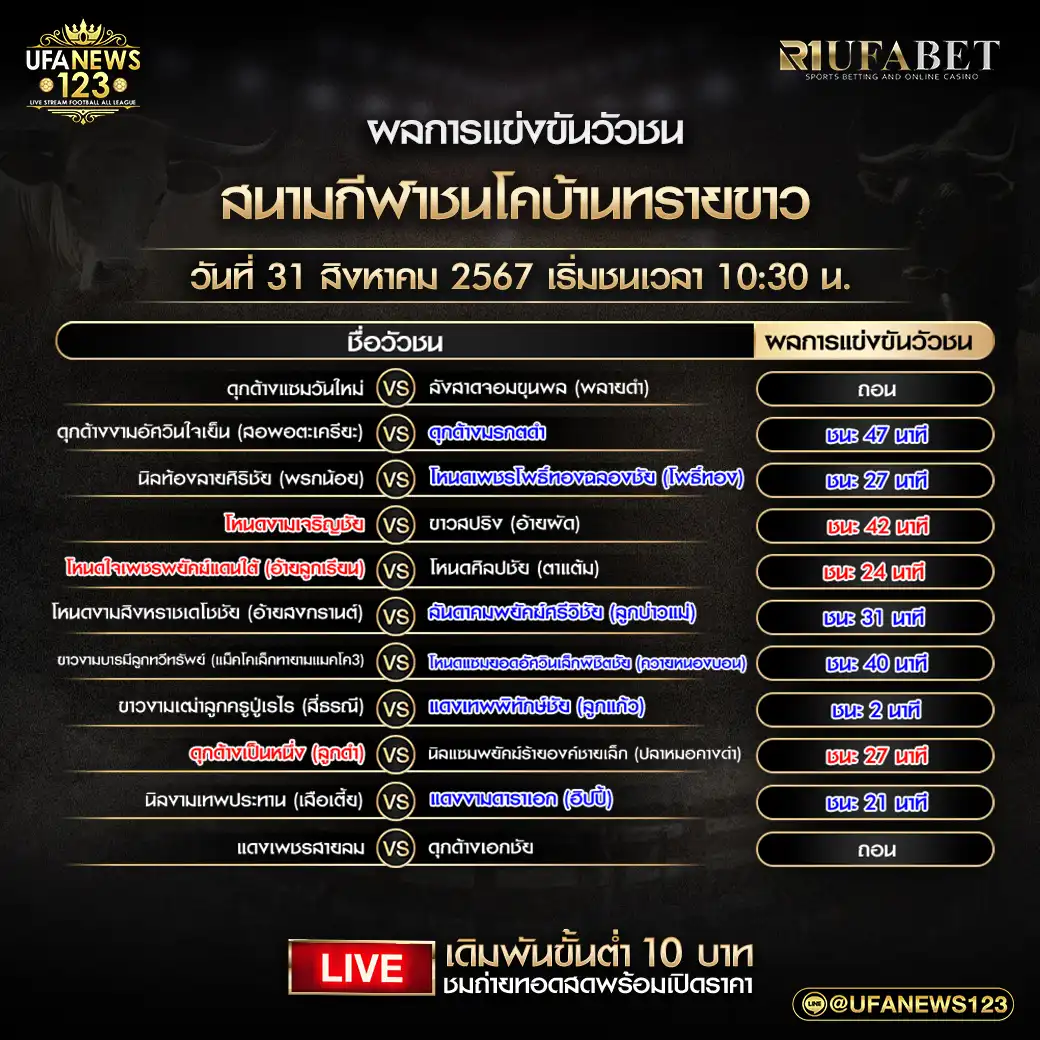 สรุปผลวัวชน สนามกีฬาชนโคบ้านทรายขาว 31 สิงหาคม 2567