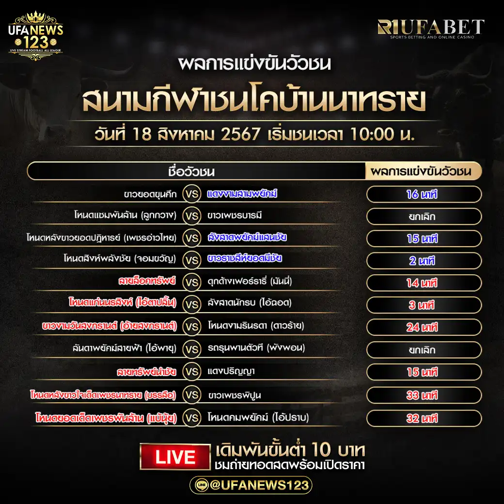 สรุปผลวัวชน สนามกีฬาชนโคบ้านนาทราย 18 สิงหาคม 2567