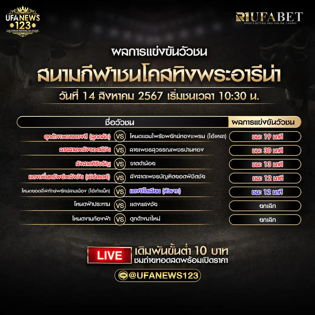 สรุปผลวัวชน สนามกีฬาชนโคสทิงพระอารีน่า 14 สิงหาคม 2567