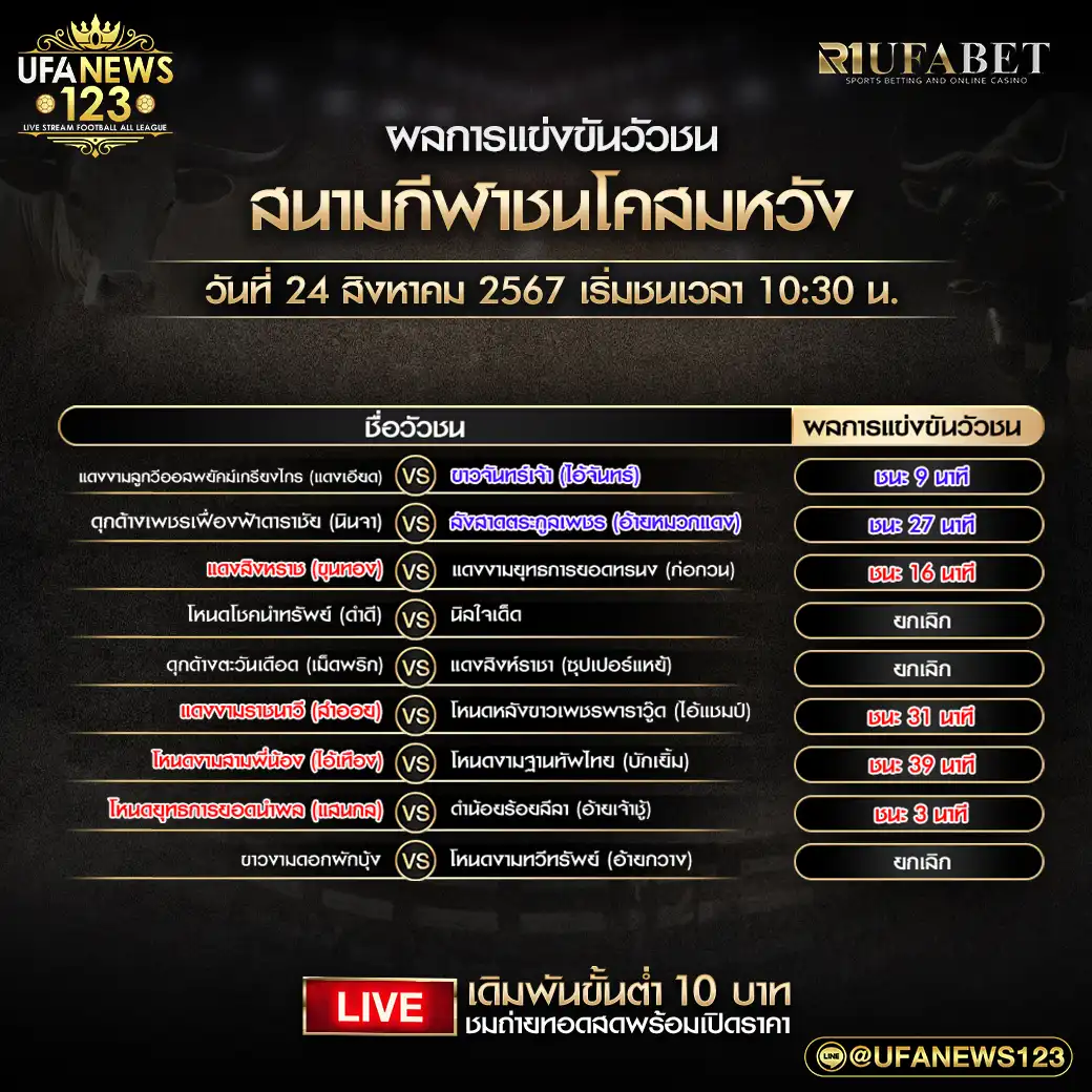 ผลวัวชน สนามชนโคสมหวัง 24 สิงหาคม 2567