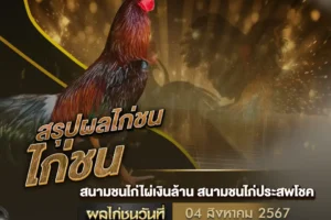 ผลไก่ชน 04 สิงหาคม 2567