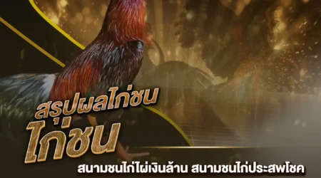 ผลไก่ชน 04 สิงหาคม 2567