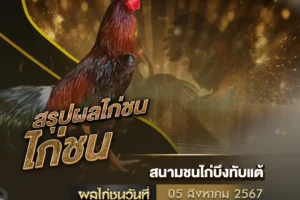 ผลไก่ชน 05 สิงหาคม 2567