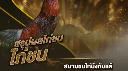 ผลไก่ชน 05 สิงหาคม 2567