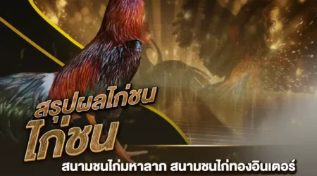 ผลไก่ชน 10 สิงหาคม 2567