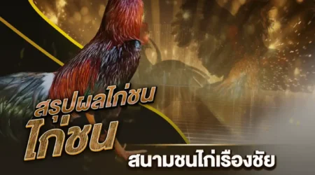 ผลไก่ชน 11 สิงหาคม 2567