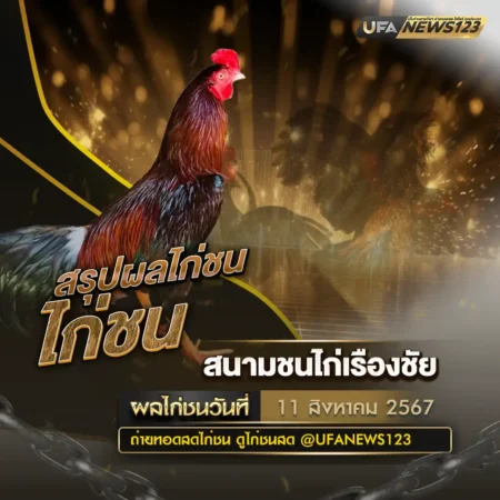 ผลไก่ชน 11 สิงหาคม 2567