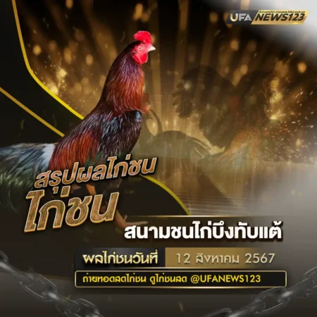 ผลไก่ชน 12 สิงหาคม 2567