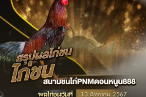 ผลไก่ชน 13 สิงหาคม 2567