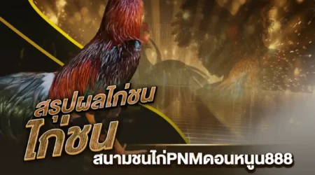 ผลไก่ชน 13 สิงหาคม 2567