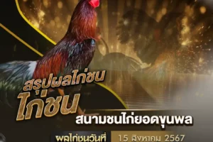 ผลไก่ชน 15 สิงหาคม 2567