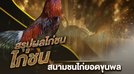 ผลไก่ชน 15 สิงหาคม 2567