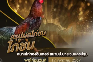 ผลไก่ชน 17 สิงหาคม 2567