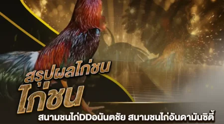 ผลไก่ชน 18 สิงหาคม 2567