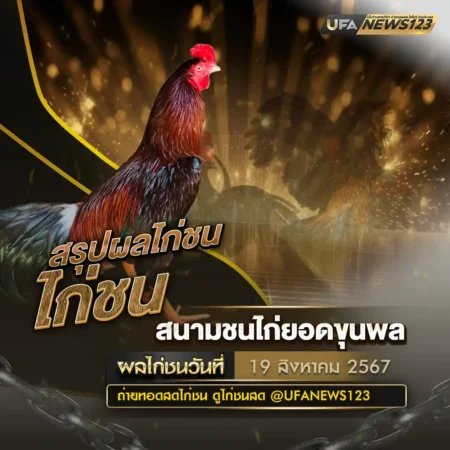 ผลไก่ชน 19 สิงหาคม 2567