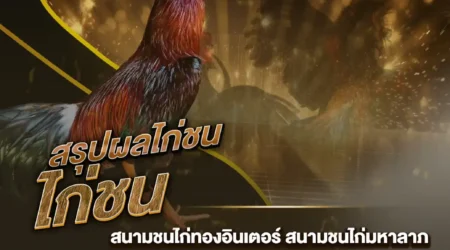 ผลไก่ชน 24 สิงหาคม 2567