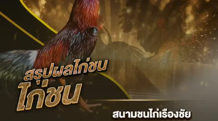 ผลไก่ชน 25 สิงหาคม 2567