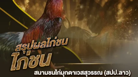 ผลไก่ชน 28 สิงหาคม 2567