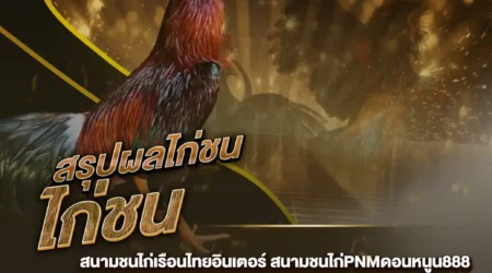 ผลไก่ชน 30 สิงหาคม 2567