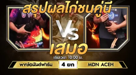 เทปไก่ชน พงษ์อนันต์ฟาร์ม VS MDN ACEH 10 สิงหาคม 2567