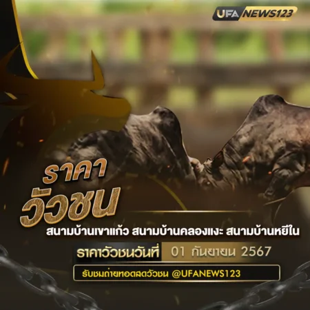 ราคาวัวชน 01 กันยายน 2567