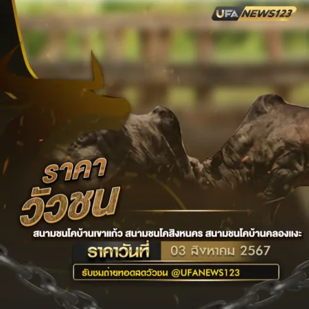 ราคาวัวชน 03 สิงหาคม 2567