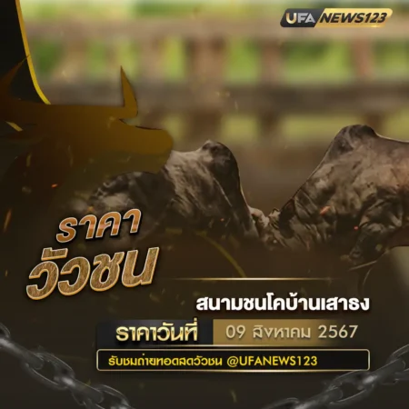 ราคาวัวชน 09 สิงหาคม 2567