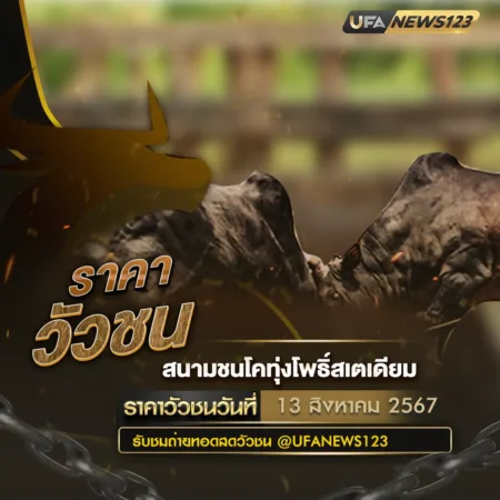 ราคาวัวชน 13 สิงหาคม 2567