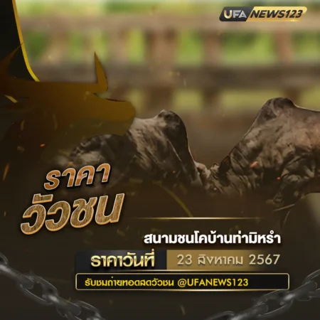 ราคาวัวชน 23 สิงหาคม 2567