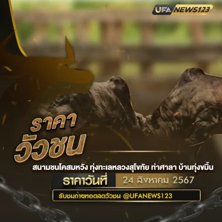 ราคาวัวชน 24 สิงหาคม 2567