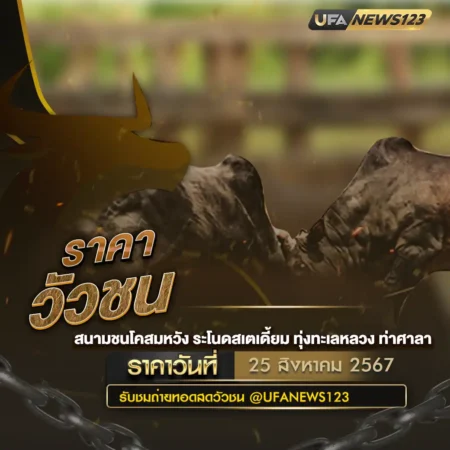 ราคาวัวชน 25 สิงหาคม 2567