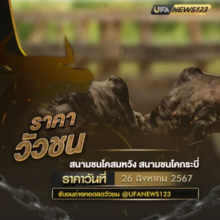 ราคาวัวชน 26 สิงหาคม 2567