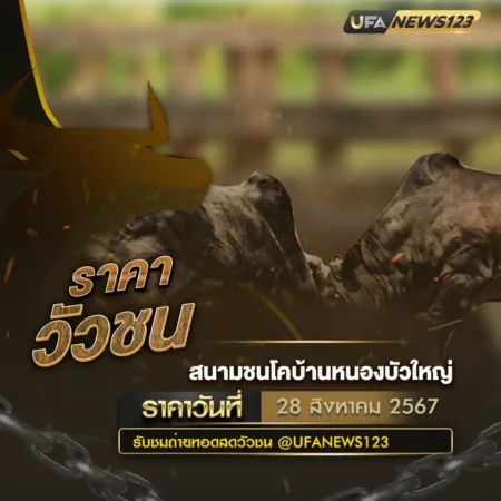 ราคาวัวชน 28 สิงหาคม 2567