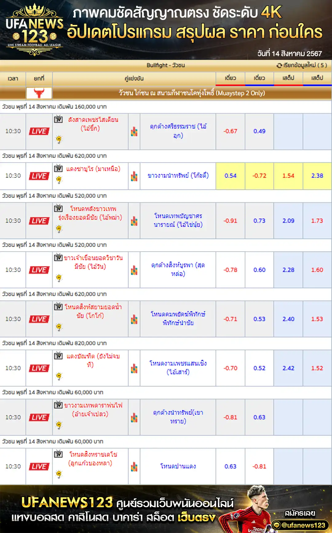 ราคาวัวชน สนามกีฬาชนโคทุ่งโพธิ์ เริ่มชนเวลา 10:30 น. 14 สิงหาคม 2567