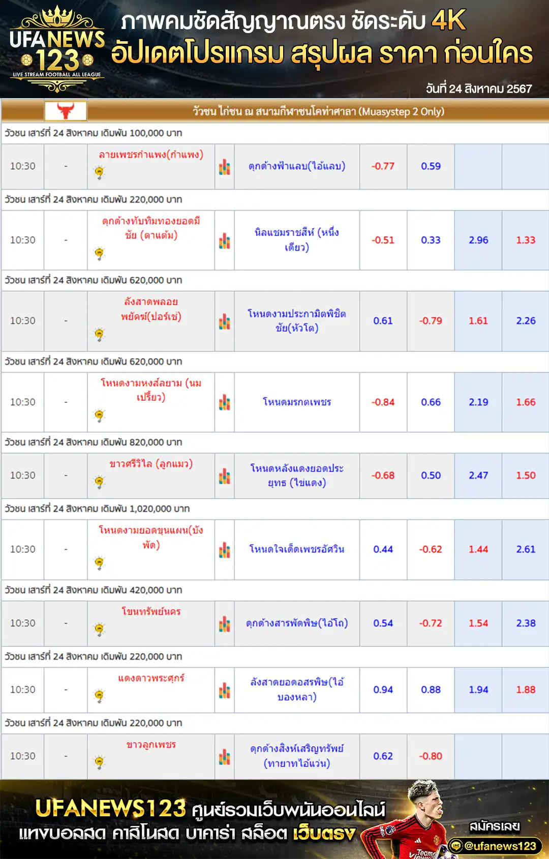 ราคาวัวชน สนามชนโคท่าศาลา เริ่มชนเวลา 10.30 น. 24 สิงหาคม 2567