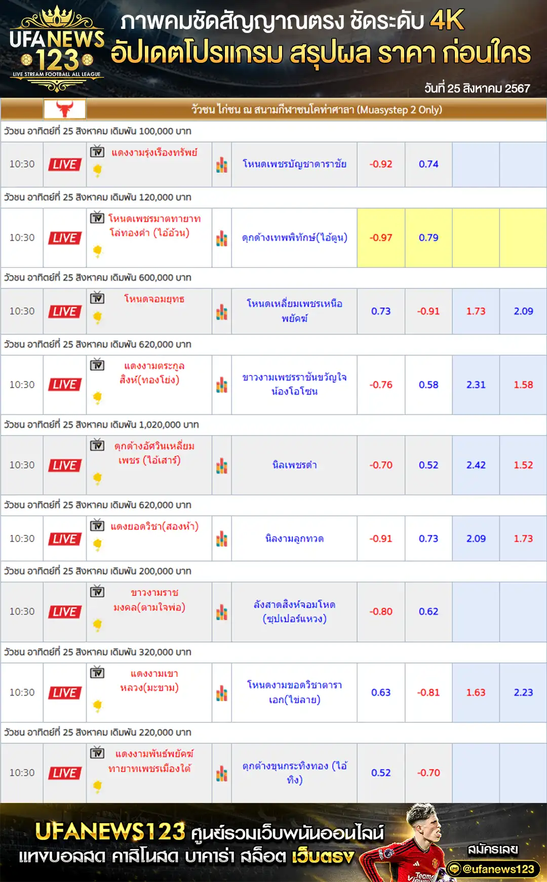 ราคาวัวชน สนามชนโคท่าศาลา เริ่มชนเวลา 10:30 น. 25 สิงหาคม 2567