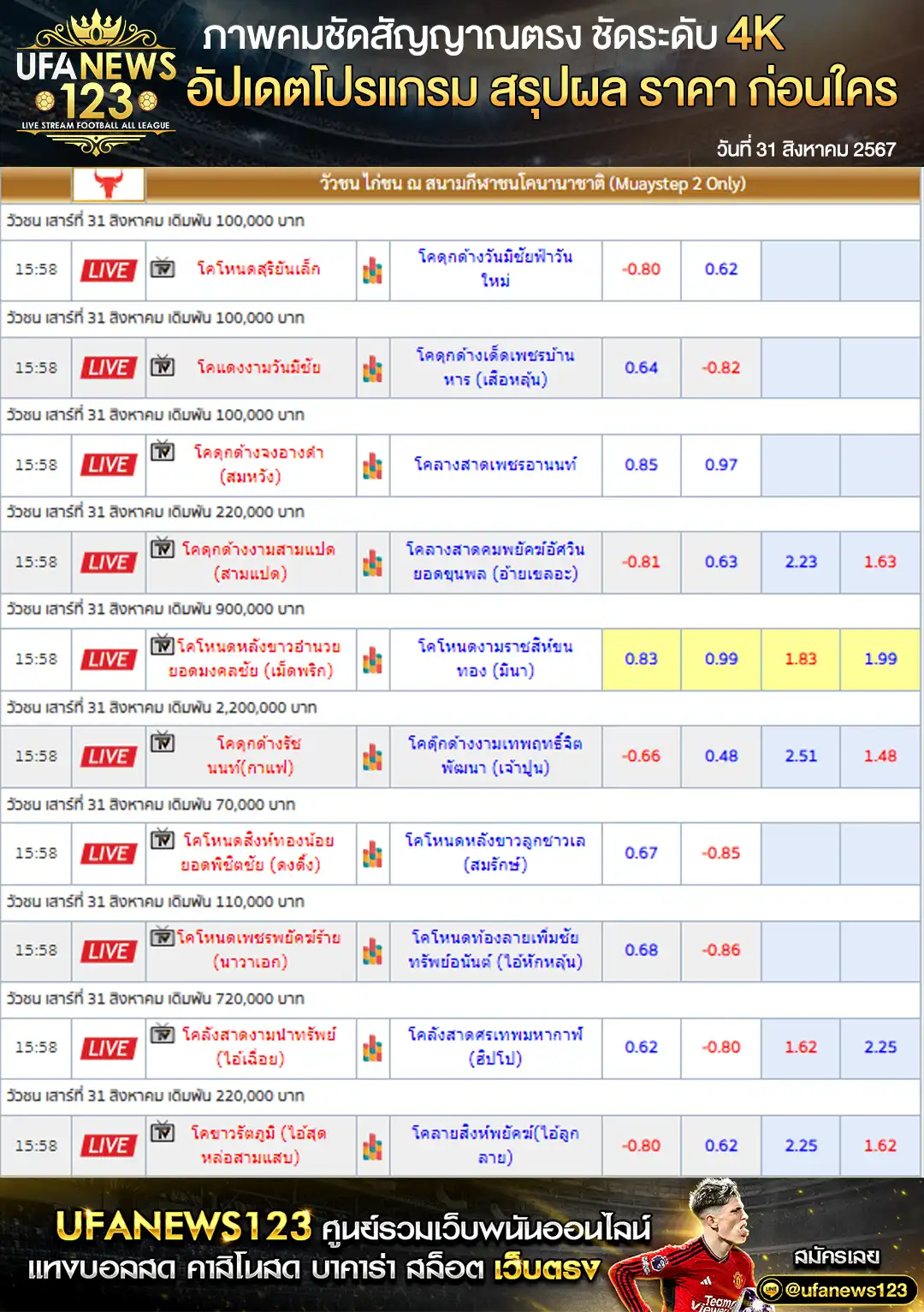 ราคาวัวชน สนามกีฬาชนโคนานาชาติ เริ่มชนเวลา 10:00 น. 31 สิงหาคม 2567