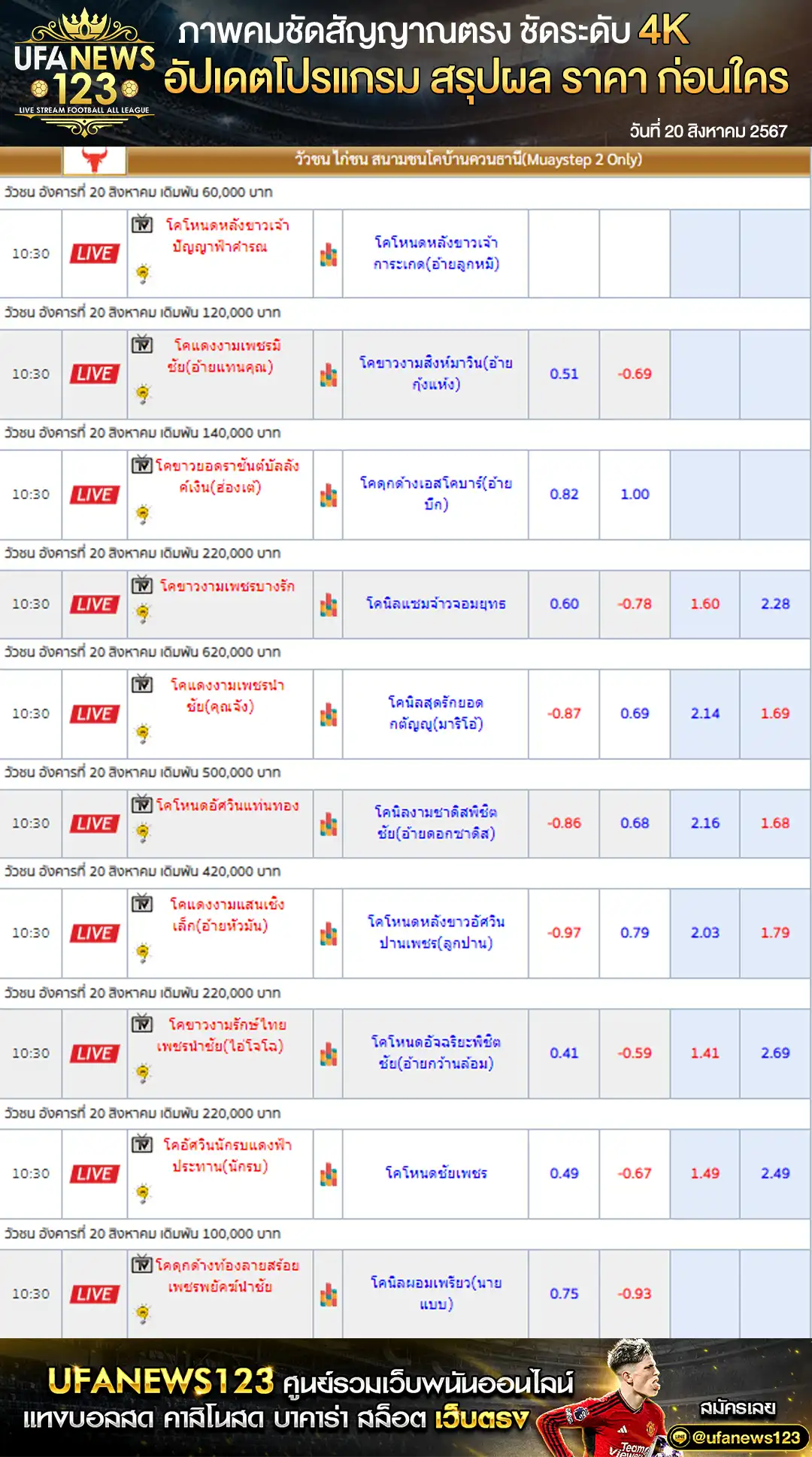 ราคาวัวชน สนามกีฬาชนโคบ้านควนธานี เริ่มชนเวลา 10:45 น. 20 สิงหาคม 2567