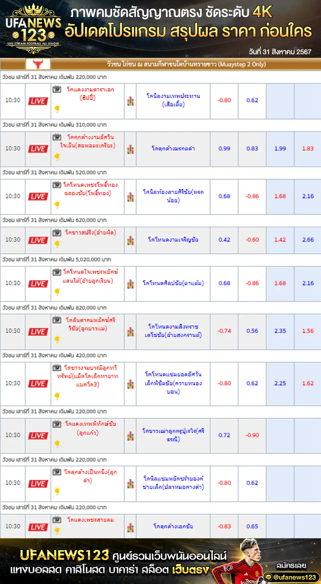 ราคาวัวชน สนามกีฬาชนโคบ้านทรายขาว เริ่มชนเวลา 10:30 น. 31 สิงหาคม 2567