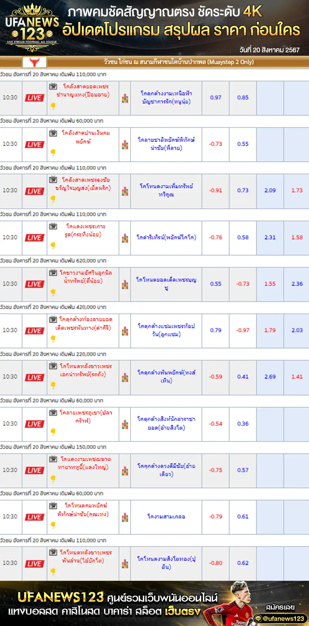 ราคาวัวชน สนามกีฬาชนโคบ้านปากพล เริ่มชนเวลา 10:45 น. 20 สิงหาคม 2567