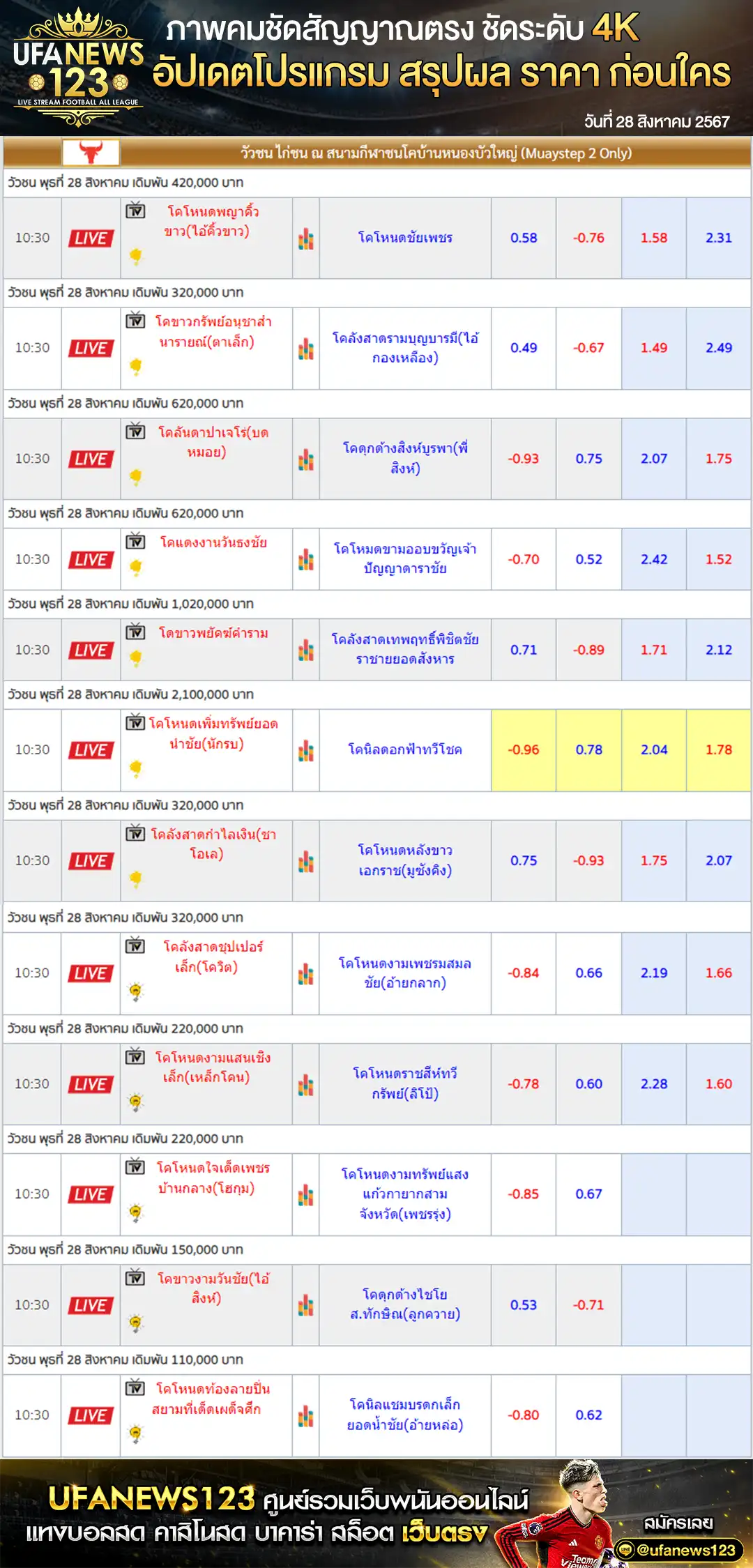 ราคาวัวชน สนามชนโคบ้านหนองบัวใหญ่ เริ่มชนเวลา 10.00 น. 28 สิงหาคม 2567