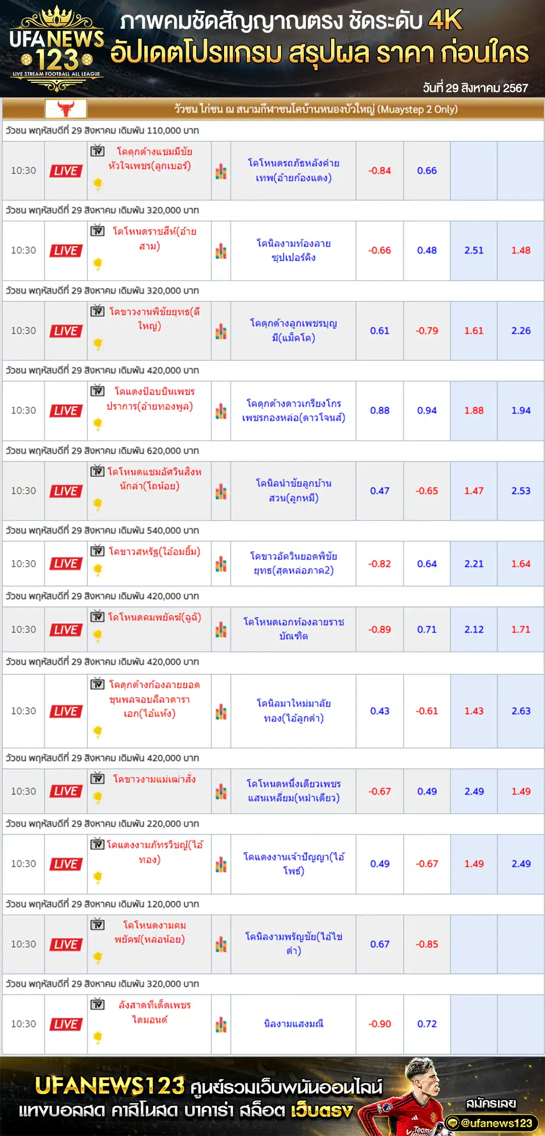 ราคาวัวชน สนามชนโคบ้านหนองบัวใหญ่ เริ่มชนเวลา 10.00 น. 29 สิงหาคม 2567