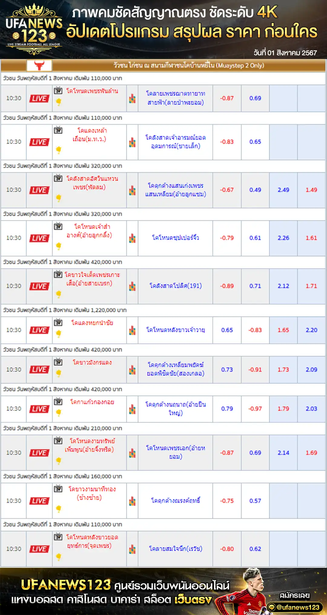 ราคาวัวชน สนามชนโคบ้านหยีใน เริ่มชนเวลา 10.30 น. 01 สิงหาคม 2567